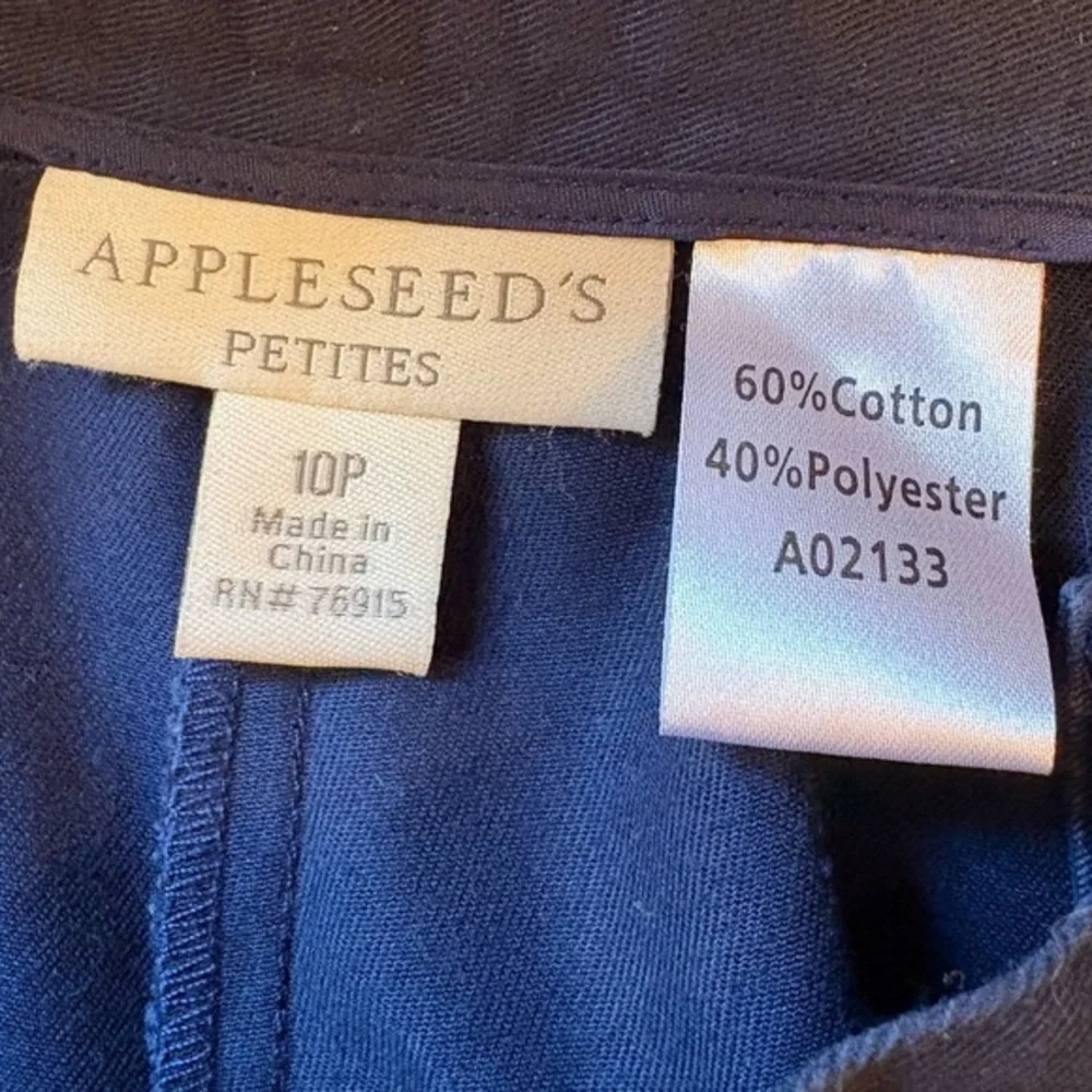 Appleseed's Blue Chinos Classic Straight-Leg 10P